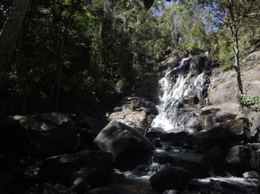 Cachoeira Dos Macacos Rondonia