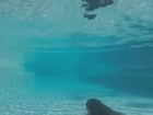 Paolla Oliveira faz vídeo nadando de biquíni e fãs elogiam