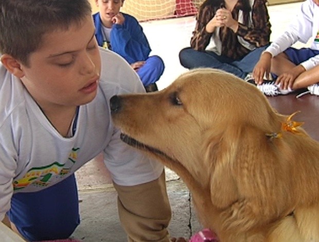 Médicos recomendam a interatividade entre as crianças e os cães (Foto: Reprodução/ Tv Tem)
