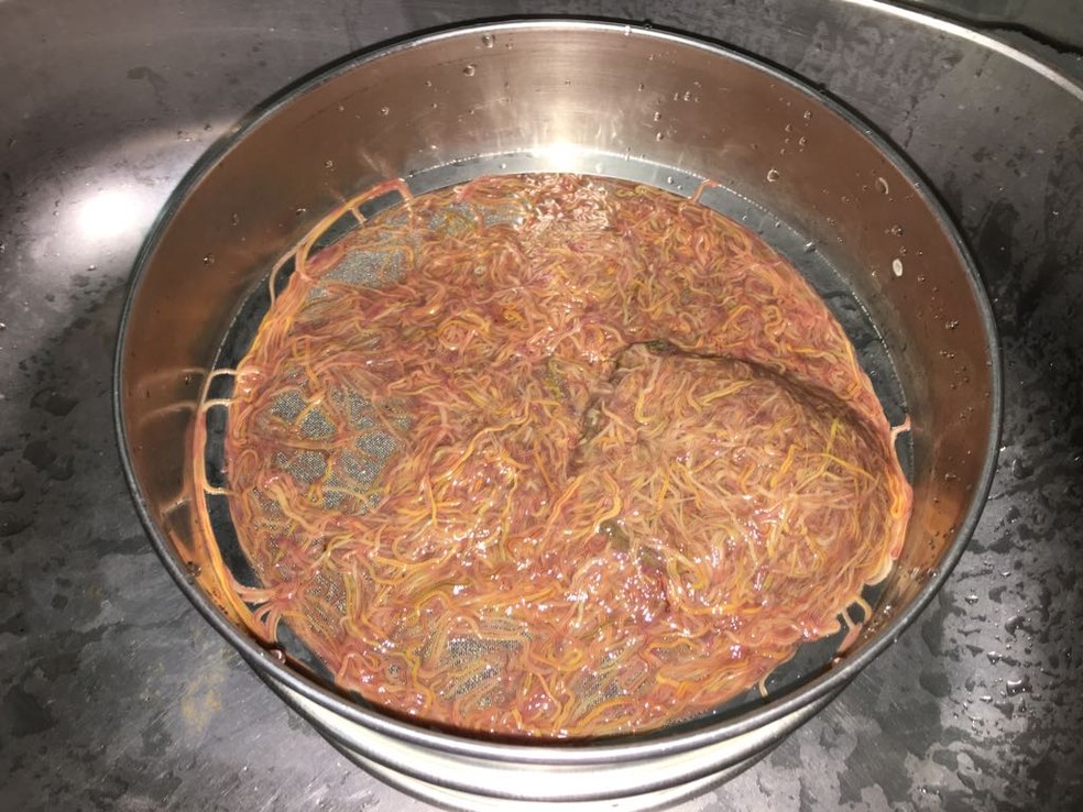 Técnicos recolheram uma parte dos vermes encontrados no Rio São Francisco (Foto: Divulgação/SAAE)