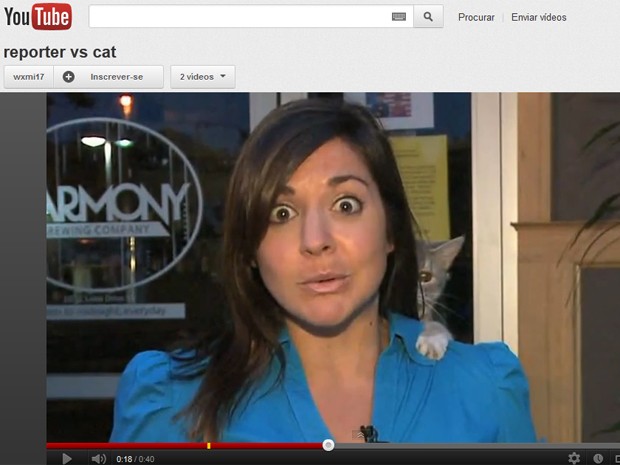 Repórter faça cara de surpresa com interrupção de gato (Foto: Reprodução)