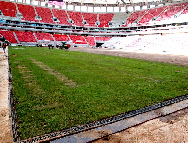 gramado estádio Mané Garrincha Brasília (Foto: Givaldo Barbosa / Agência O Globo)