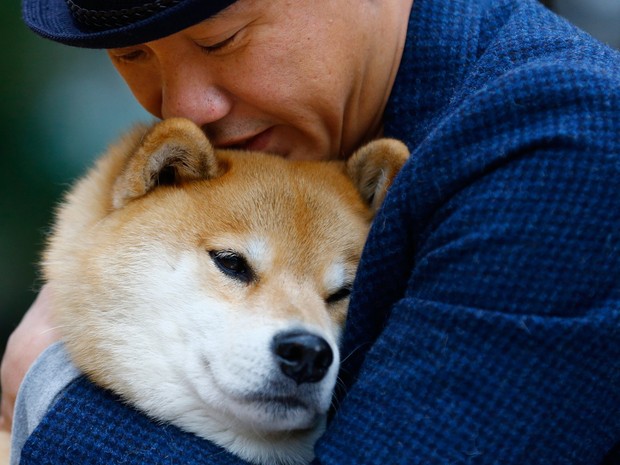 'Cão mais feliz', Maru tem mais de 2 milhões de seguidores no Instagram (Foto: Shizuo Kambayashi/AP)