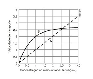 Questão de biologia da Unicamp (Foto: Unicamp)