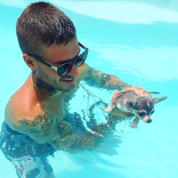Ego Mateus Verdelho Toma Banho De Piscina Com Cachorrinha Noticias De Bichos