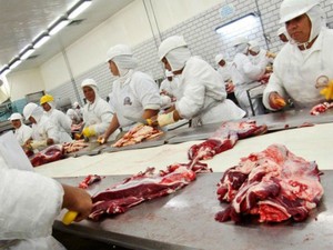 Brasil é o principal fornecedor de carne bovina para o Irã (Foto: Governo do Paraná/ Divulgação)