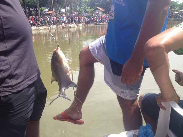 Peixe foi amarrado por trabalhador que participou de pescaria em Macapá (Foto: Abinoan Santiago/G1)