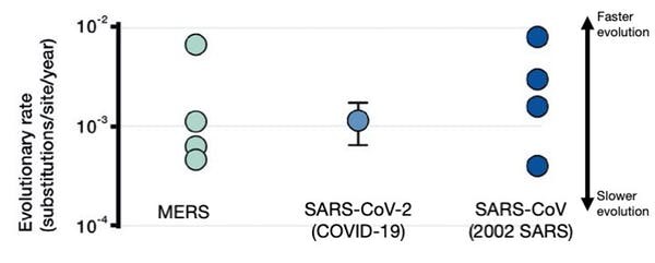 Taxas evolutivas para três coronavírus, incluindo SARS-CoV-2, que causa Covid-19. Valores mais altos indicam vírus que acumulam mutações mais rapidamente; barra de erro em torno de SARS-CoV-2 indica incerteza atual. (Foto: Taiaroa et al. 2020/Sebastian Duchene/Univ. Melbourne) Taxas evolutivas para três coronavírus, incluindo SARS-CoV-2 que causa Covid-19. Valores mais altos indicam vírus que acumulam mutações mais rapidamente; barra de erro em torno de SARS-CoV-2 indica incerteza atual. (Foto: Taiaroa et al. 2020/Sebastian Duchene (Univ. Melbourne))