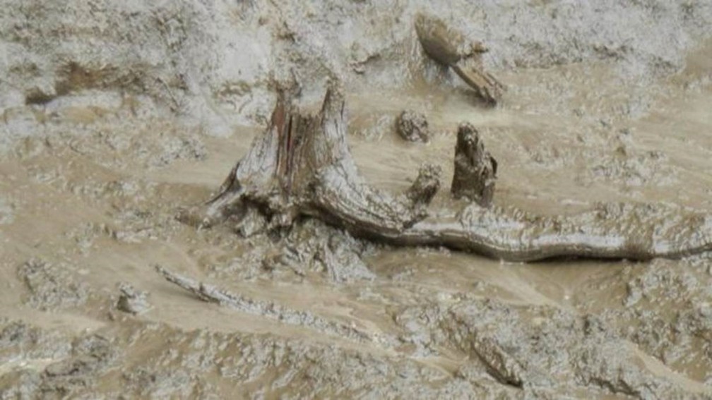 Ao emergir, cratera revelou sinais de densa floresta que existiu no local há centenas de milhares de anos  (Foto: Julian Murton)