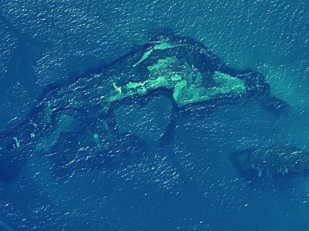 Imagem de satélite mostra formação de coral na Bahia (Foto: Divulgação / Coral Vivo)