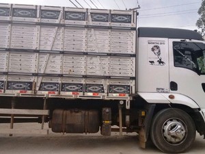 O veículo roubado estava transportando 23 cabeças de gado de Macaé para Campos (Foto: Divulgação/ PM)