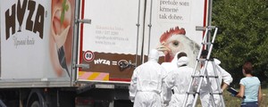 71 imigrantes morrem em caminhão na Áustria, entre eles 4 crianças (Dieter Nagl/AFP)
