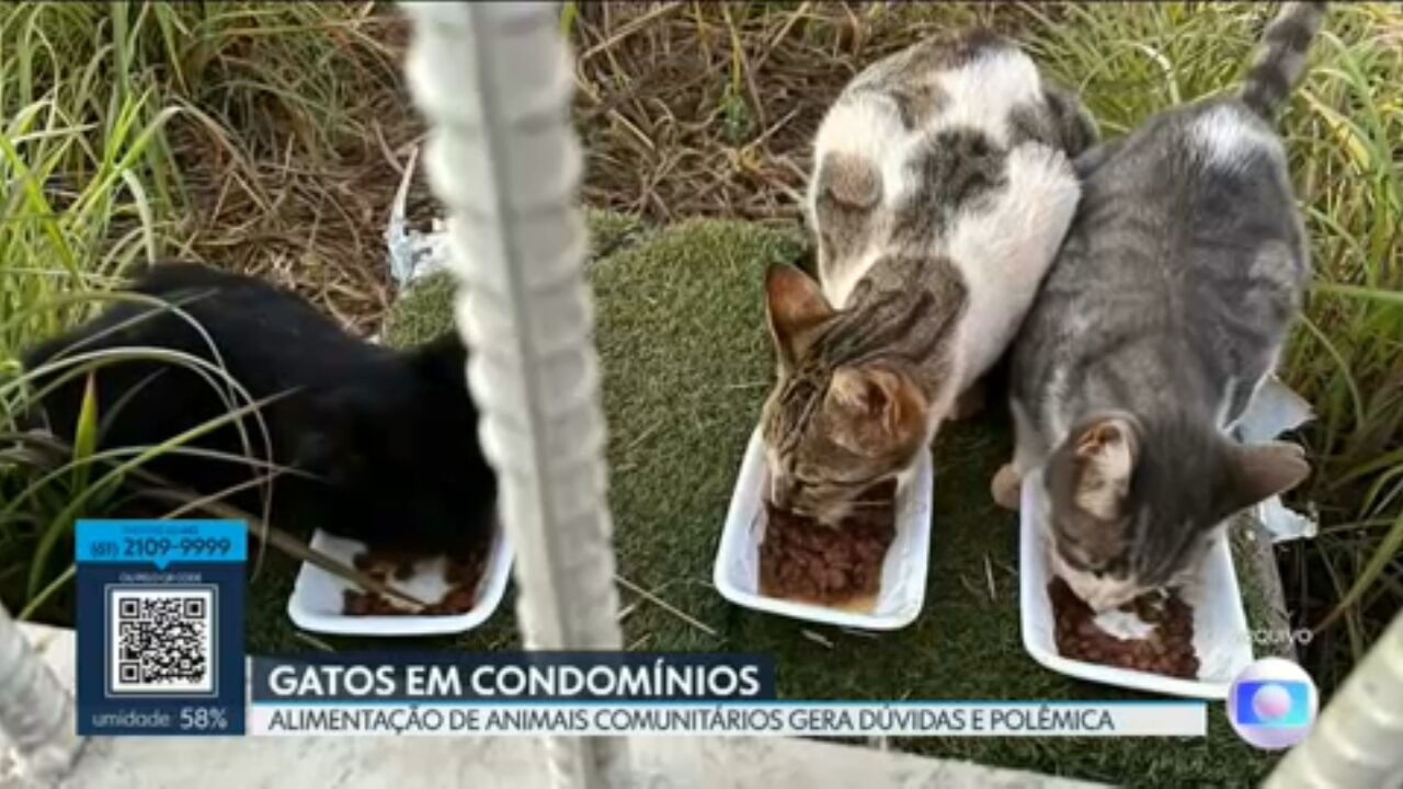 VÍDEOS: DF2 de quinta-feira, 2 de julho de 2026