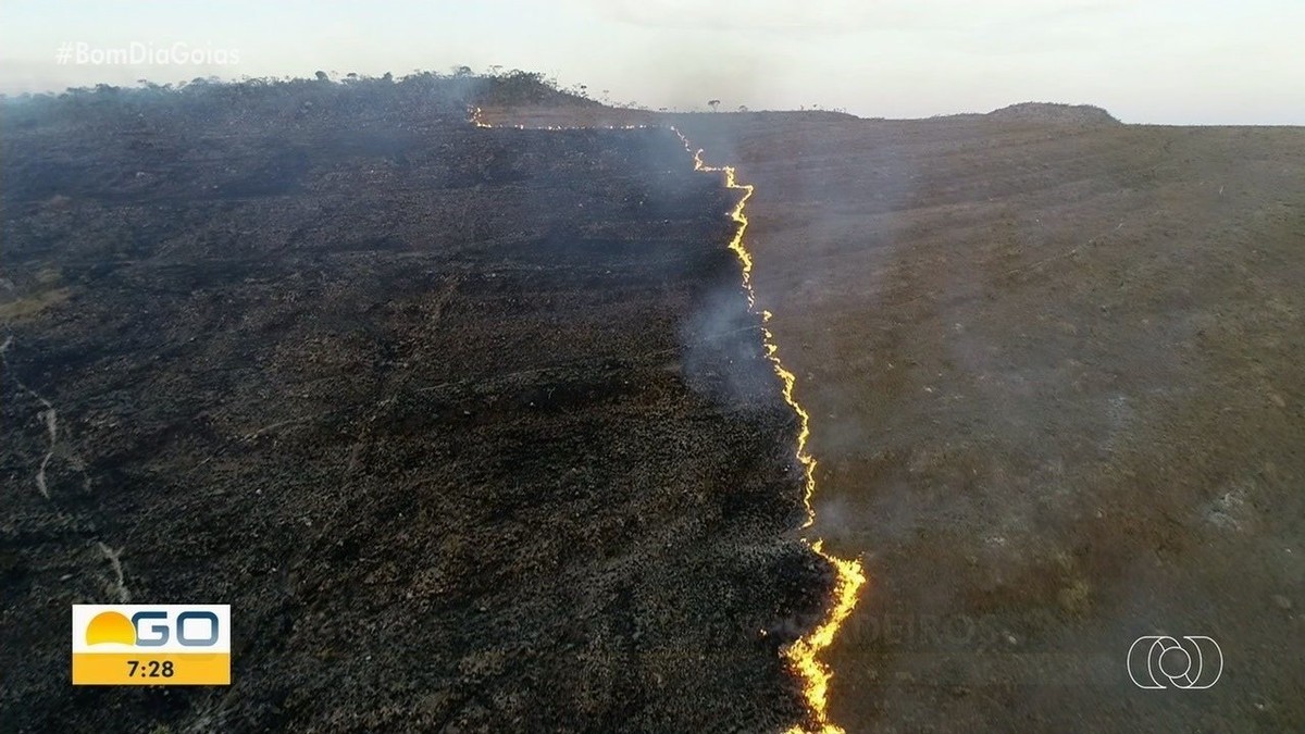 Incêndio destrói 500 hectares do Parque Nacional da Chapada dos