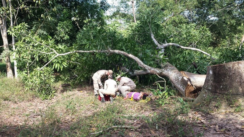 Após retirar tronco de cima de perna, Bombeiros levaram vítima ao hospital (Foto: Rondônia News/Reprodução)