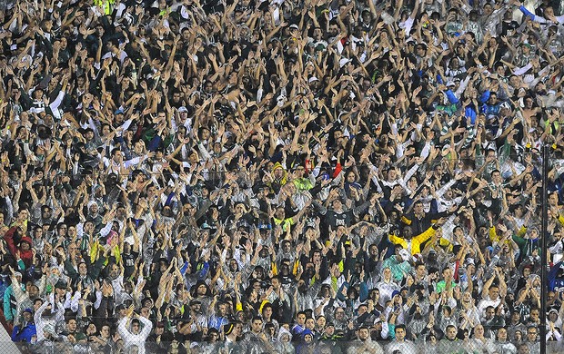Palmeiras x Grêmio, Torcida (Foto: Marcos Ribolli  / Globoesporte.com)
