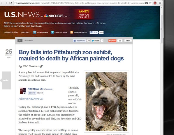 Site da NBC noticia morte da criança nos EUA atacada por cães selvagens africanos em zoológico. (Foto: Reprodução, site NBC)