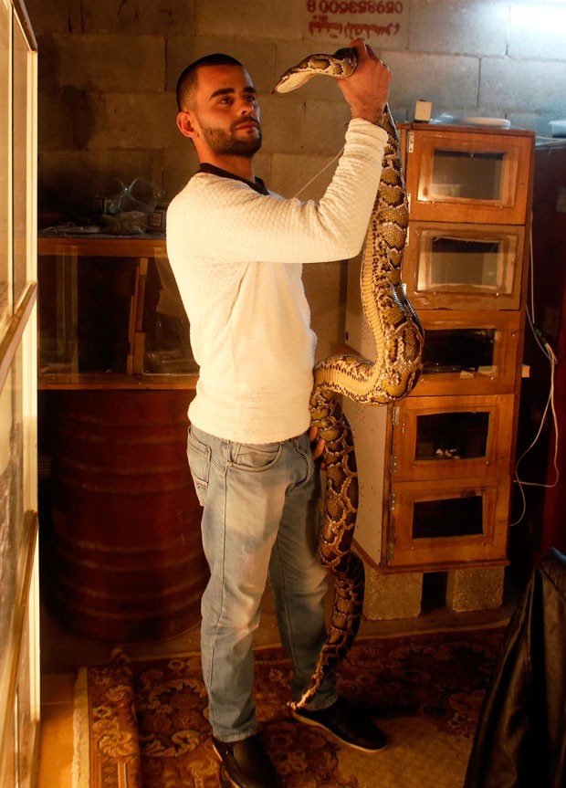 Omar Ibrahim mantém mais de 40 cobras exóticas em sua casa (Foto: Ahmad Gharabli/AFP)