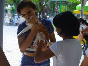Cães e gatos que vivem nos bairros da Marambaia, Curió e Mangueirão, em Belém, poderão ser imunizados contra a raiva neste sábado (12). (Foto: Tássia Barros/Comus)