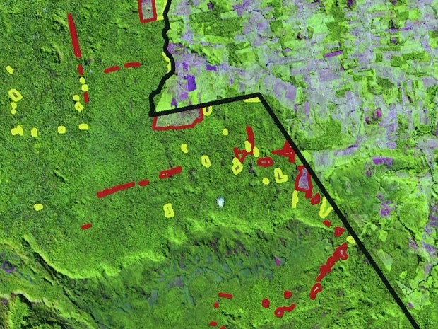 Trilhas em reservas e parques foram descobertas por vários satélites (Foto: Rede Amazônia/ Reprodução)