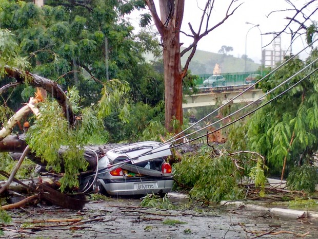 G1 Árvore cai e atinge carro durante chuva em Guaratinguetá SP