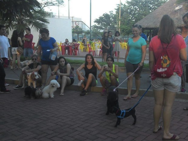 Várias pessoas participaram do evento levando seus animais de estimação (Foto: Katylenin França/Rede Clube)