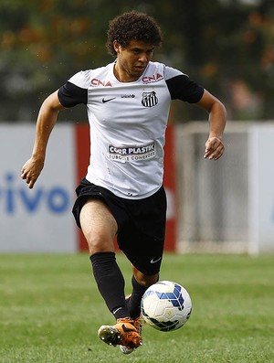 Victor Ferraz Santos (Foto: Ricardo Saibun / Santos FC)