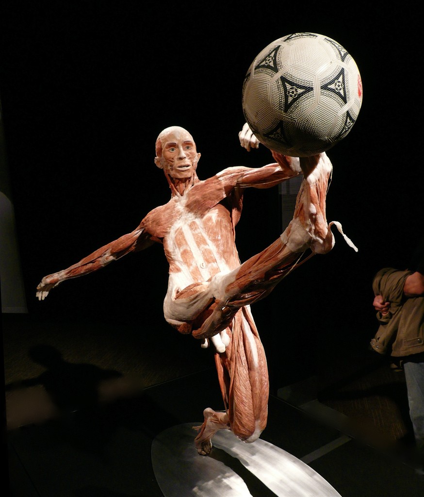 Jogador de futebol colocando a bola na grama ângulo baixo do