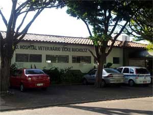 Hospital veterinário de Campinas onde cadela ferida por bomba caseira foi internada (Foto: Bruna Stuppiello/G1 Campinas)