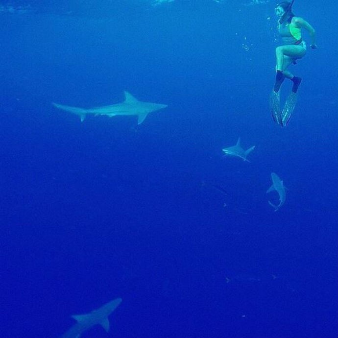 Maya Gabeira ao lado de diversos tubarões (Foto: Reprodução/Instagram) Maya Gabeira ao lado de diversos tubarões (Foto: Reprodução/Instagram)