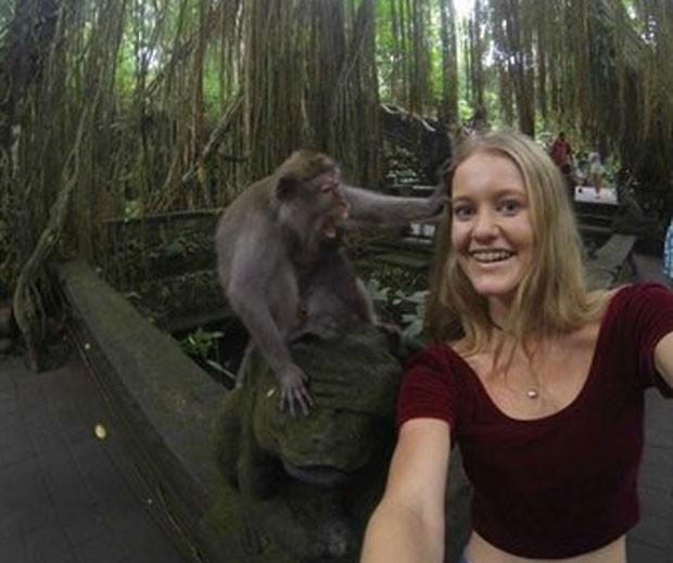 Jovem se deu mal ao tentar tirar selfie ao lado de macaco (Foto: Reprodução/Reddit/ThatGuy1331)