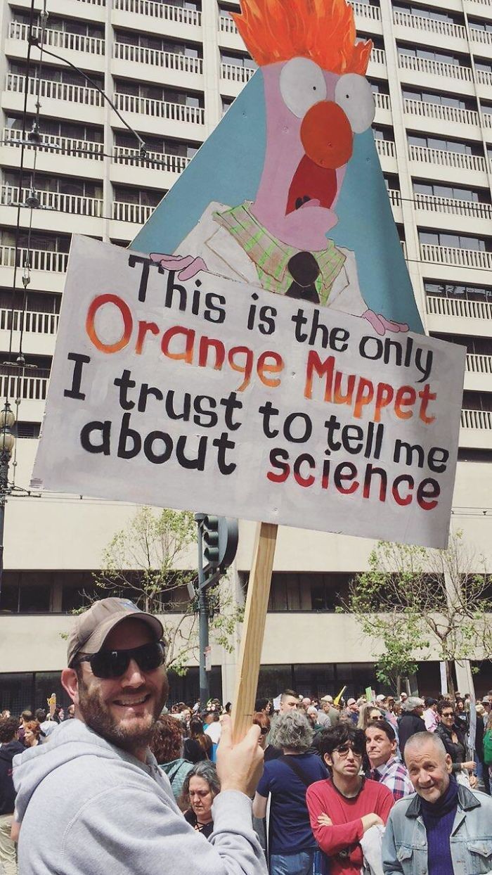 Esse é o único Muppet laranja que eu confio para falar sobre ciência (Foto: Reprodução)
