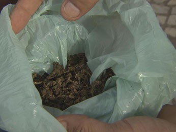 Saco com cerca de 25g de maconha foi encontrado no carro (Foto: Reprodução/TV Globo)