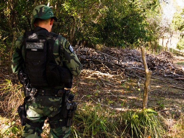 Batalhão de Policiamento Ambiental faz levantamento da área desmatada. (Foto: Jonathan Lins/G1)
