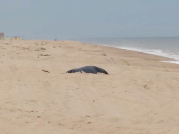 Corpo de Rian Brito foi achado na areia (Foto: Reprodução / Globo)