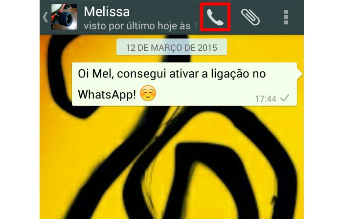 Clique no símbolo do telefone para realizar uma chamada (Foto: Reprodução/Carol Danelli)