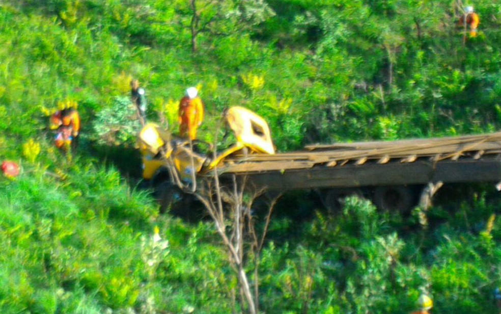 Bombeiros analisam caminhão que capotou após cair em ribanceira às margens da DF-170, no Lago Oeste, neste domingo (11) (Foto: Corpo de Bombeiros/Divulgação)