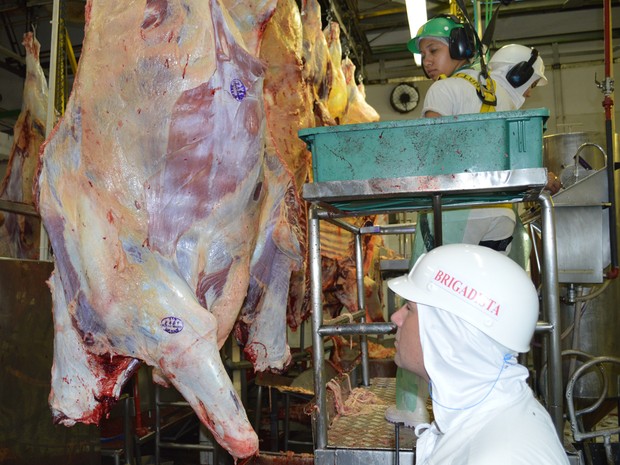 Carcaça de bovino já com carimbo do SIF (Foto: Anderson Viegas/Do G1 MS)