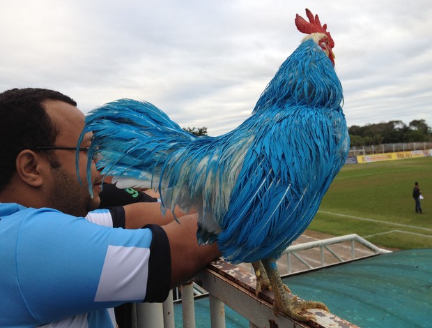 Globo Esporte De Minas Gerais Ao Vivo