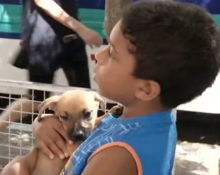 Feira de Adoção em Barra do Piraí, consegue família para todos os animais (Foto: Reprodução RJTV 1ª Edição)