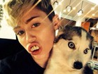 Miley Cyrus usa dentadura bizarra e faz careta em foto com cachorro