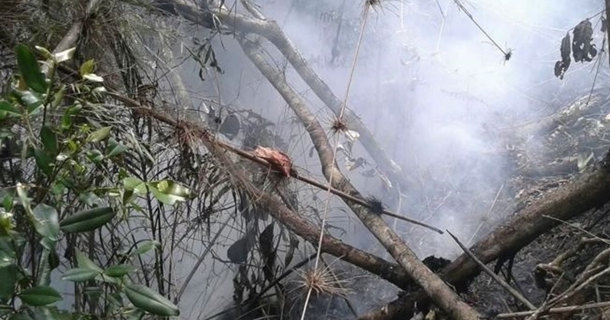 Área de mata nativa pega fogo em Vargem Alta, ES - Globo.com