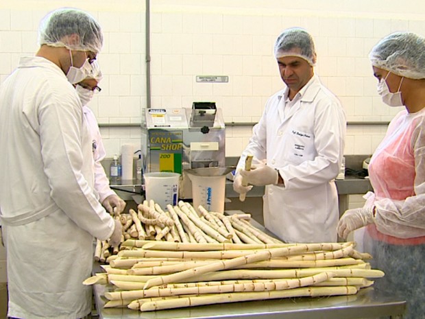 Processo de moagem feito no laboratório da USP de Pirassununga (Foto: Rodrigo Sargaço/EPTV)