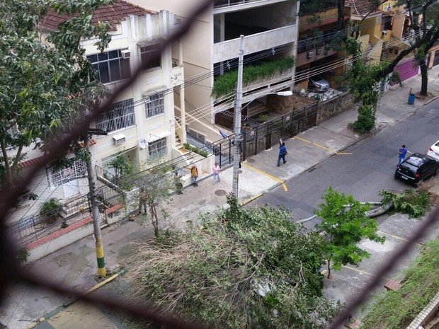 Leitora registrou a queda de árvore na Tijuca (Foto: Ana Lúcia Gianini / Enviado por Whatsapp)