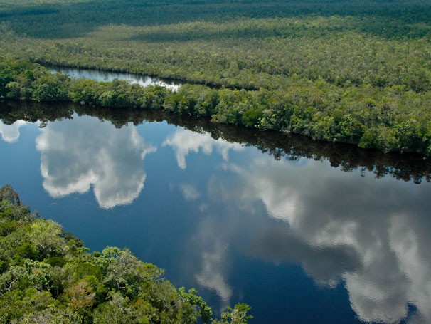 Rio da Bacia Amazônica (Foto: Divulgação/Gérard Moss)