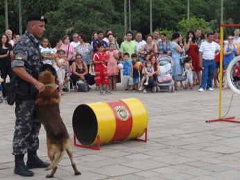 Cães adestrados fizeram apresentação (Foto: Ivani Schütz/RBS TV)