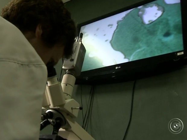 Médico de Jundiaí encontra solução contra a rinite alérgica após 10 anos de estudo (Foto: Reprodução/TV TEM)