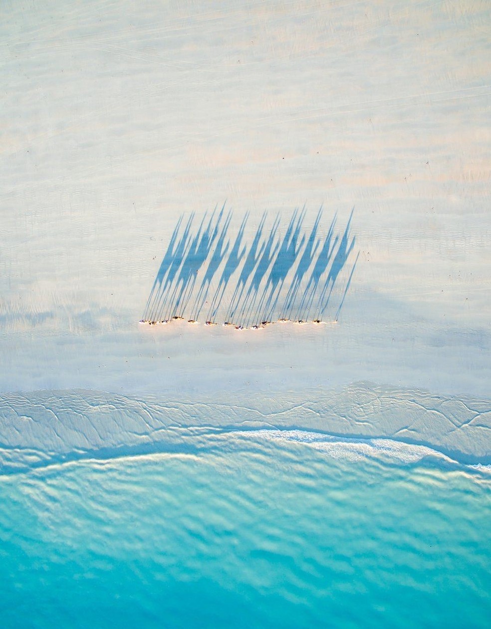 As longas sombras dos camelos caminhando na areia são o cenário do entardecer na Praia do Cabo, no Oeste da Austrália. (Foto: Todd Kennedy)