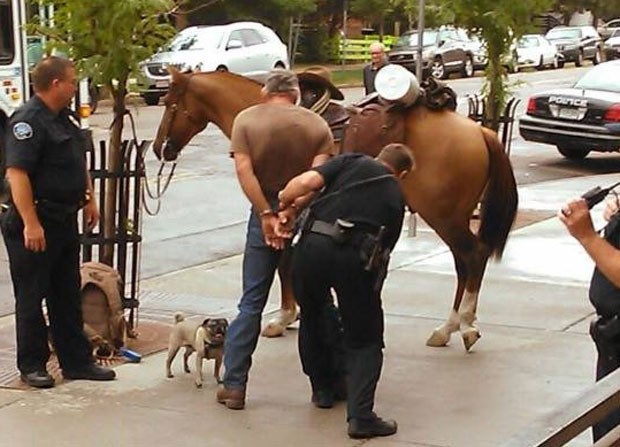 Patrick Schumacher foi acusado de andar bêbado a cavalo (Foto: Reprodução/Facebook/CU-Boulder Police Department)