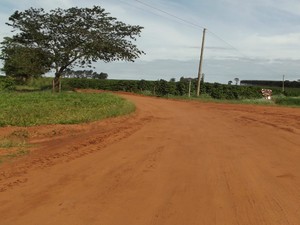 Cafezal fica em estrada rural no Bairro Anhumes (Foto: André Silva/ Site Portal Arandu)